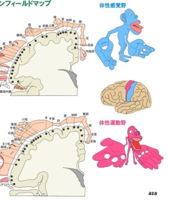 画像1559
