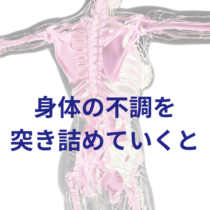画像2996