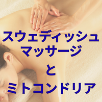 画像3000