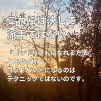 画像2393