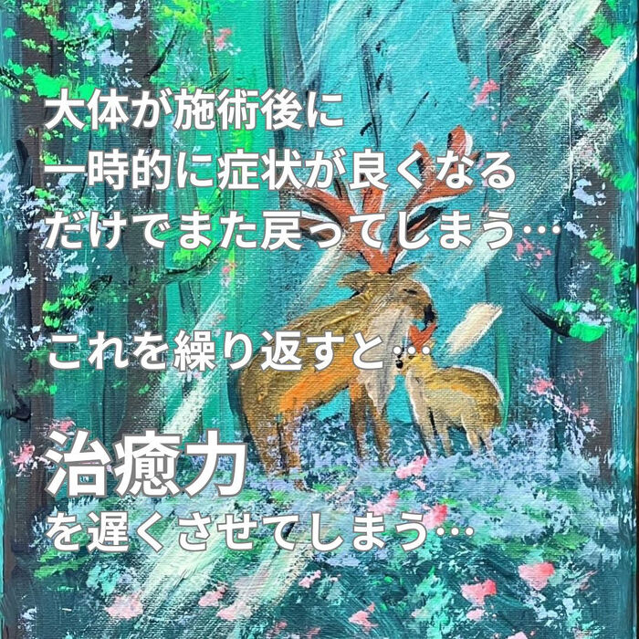 画像2517