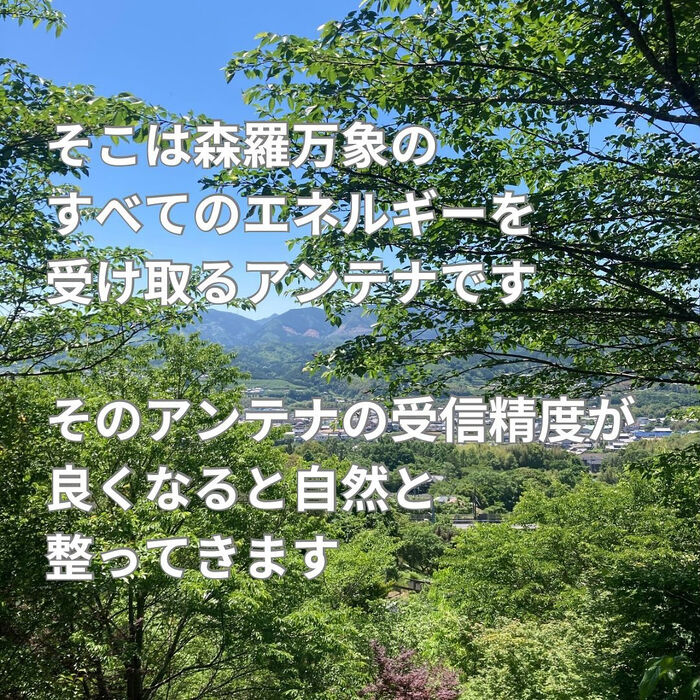 画像2676