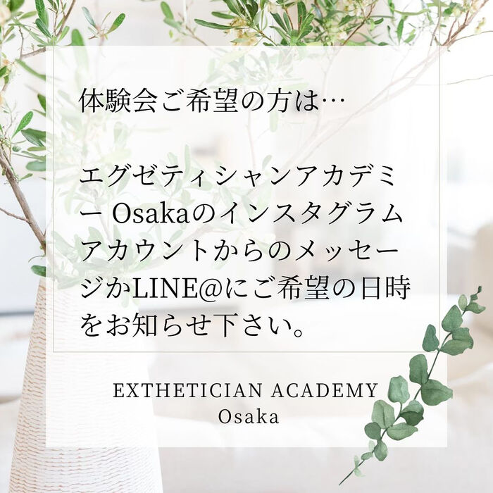 画像2750