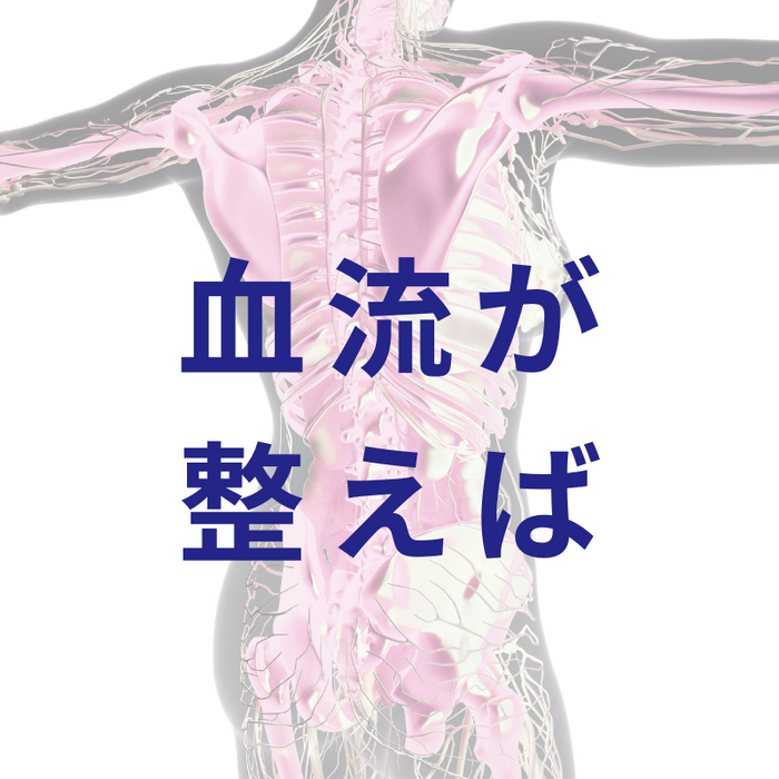 画像3016