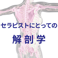 画像3037