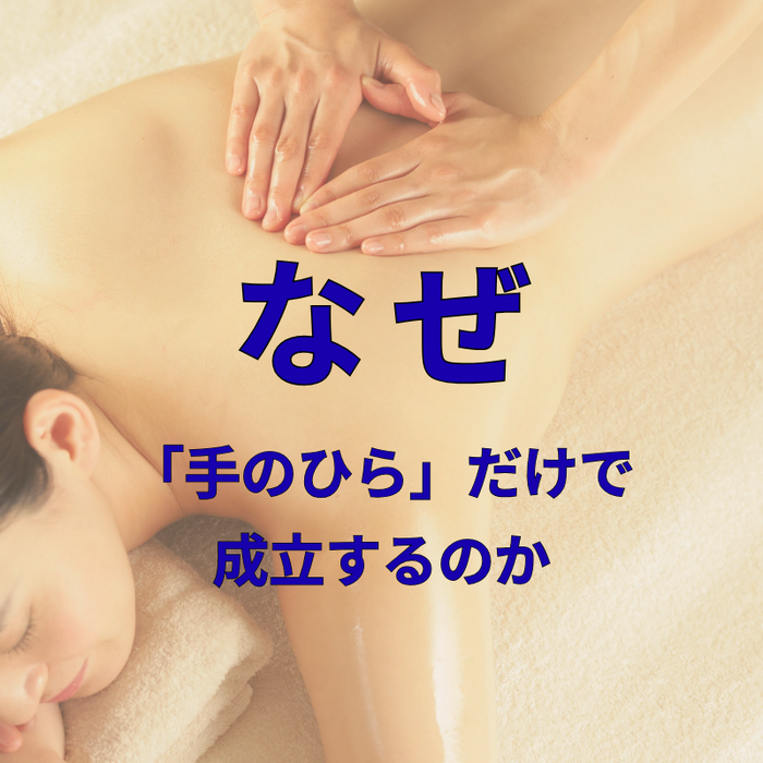 画像3042