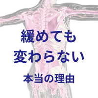 画像3068