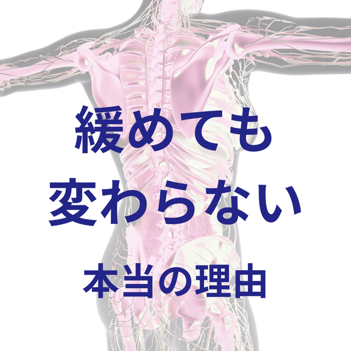 画像3068