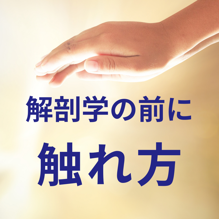 画像3077
