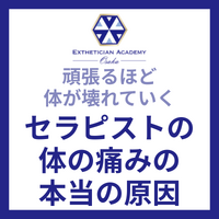 画像3086