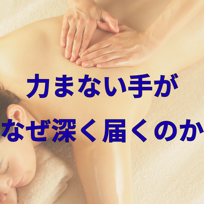 画像3088