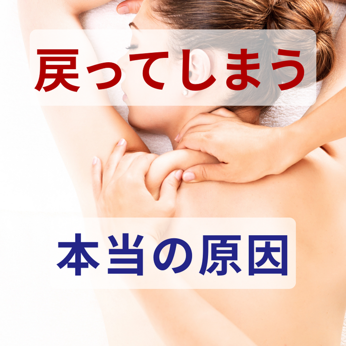 画像3156