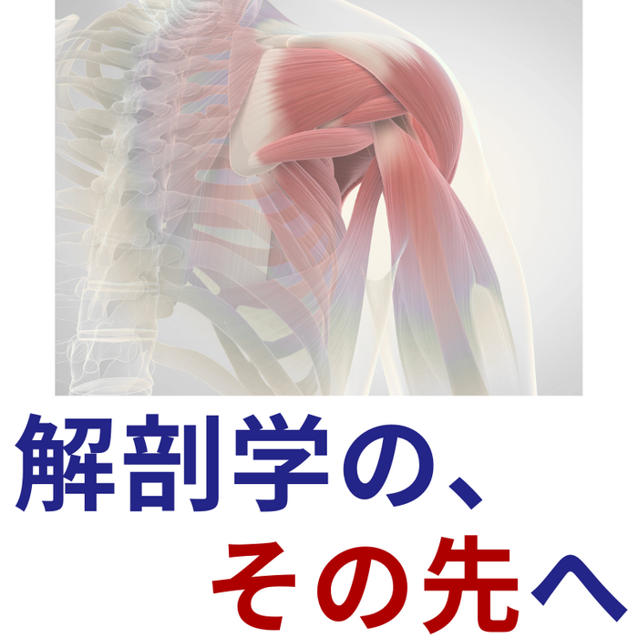 画像3202