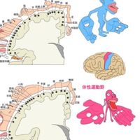 画像1559