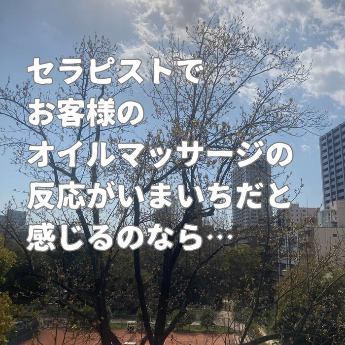 画像2596