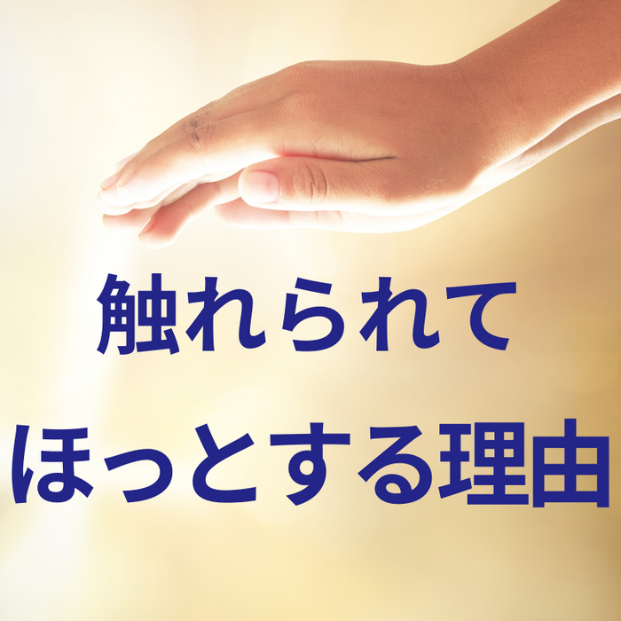 画像3046