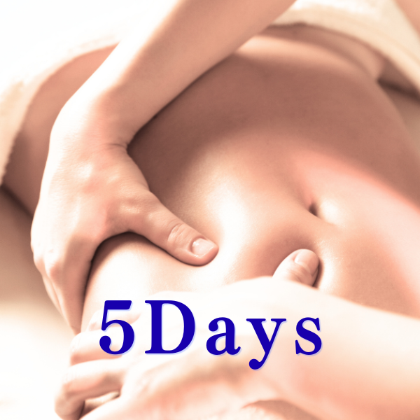 스웨디쉬 5DAYS 코스