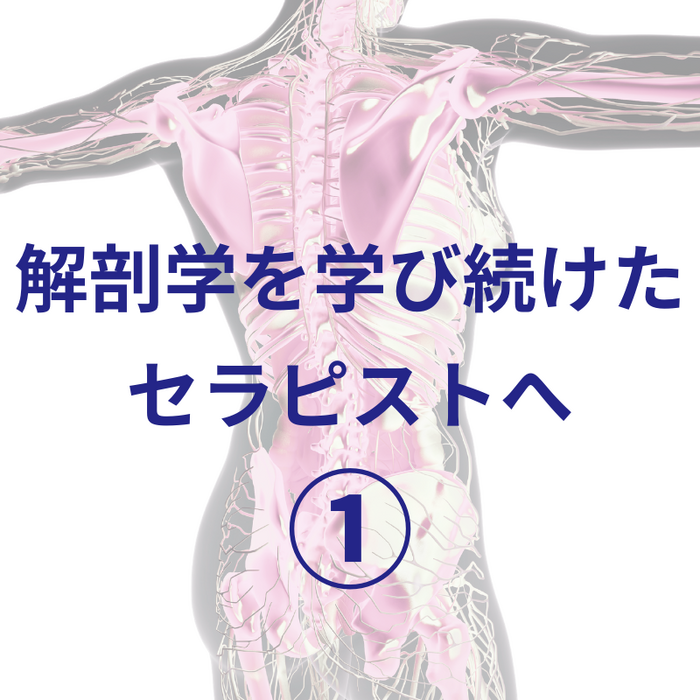 画像3048