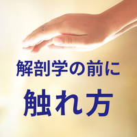 画像3077