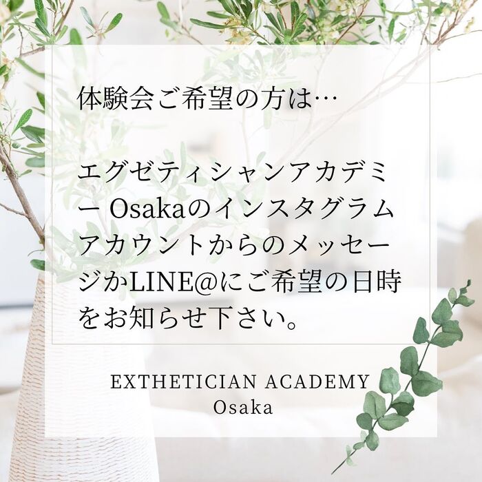 画像1642